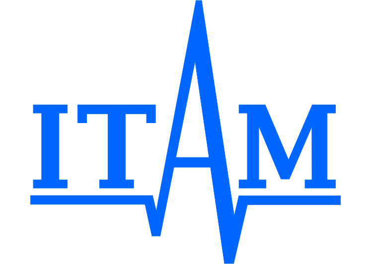 logo ITAM